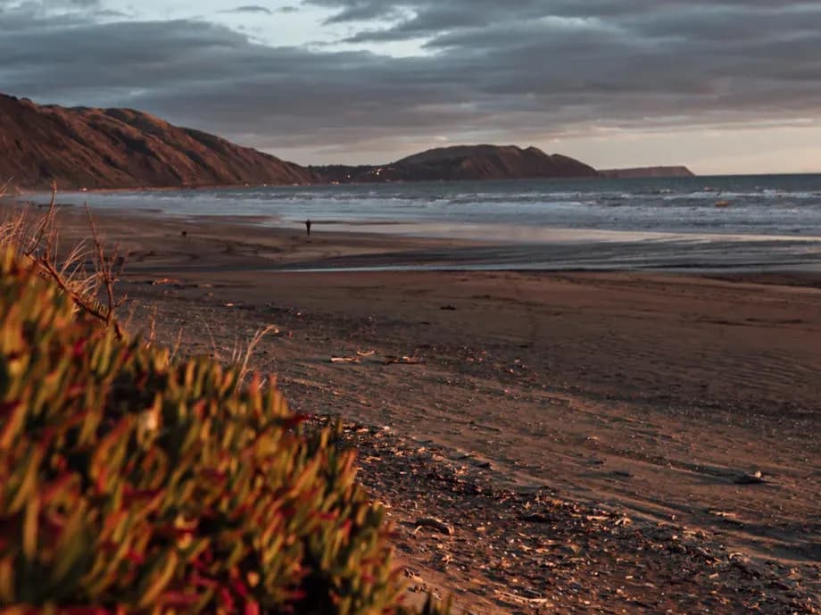 Abel Tasman Nationalpark und Golden Bay