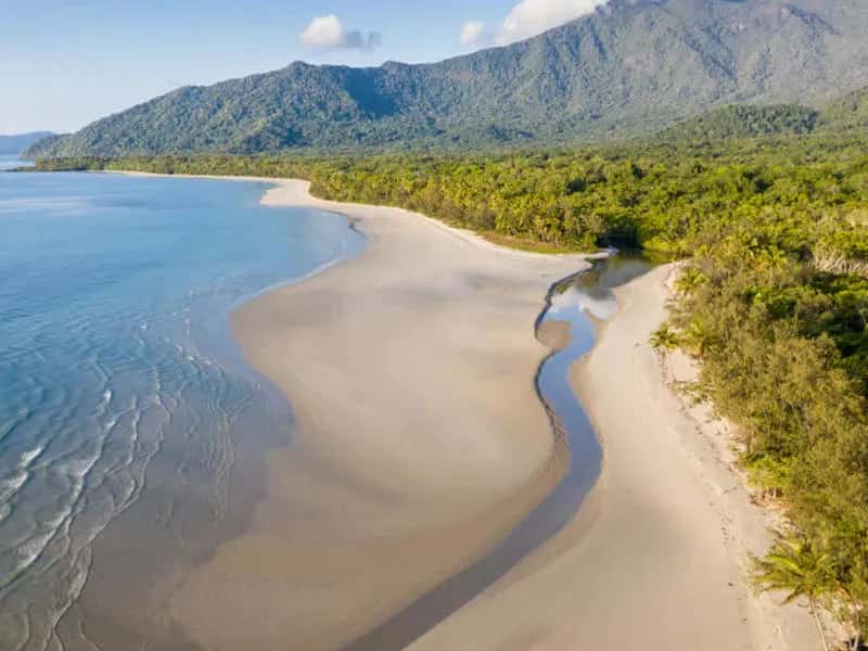 Flussmündung im Daintree Forest