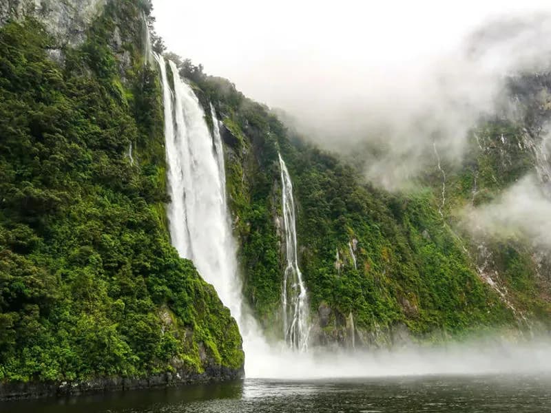 osende Wasserfälle umgeben von grünen Klippen und Nebel im Milford Sound, als einer der Sehenswürdigkeiten in Neuseeland
