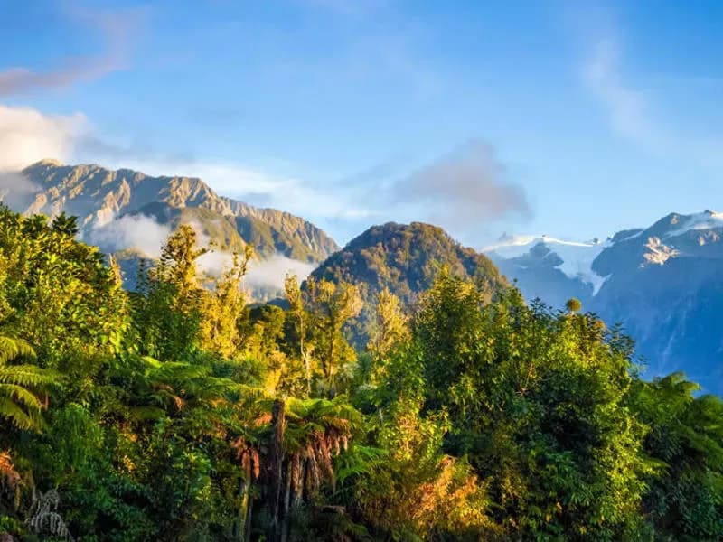Berge verschneite Gipfel Regenwald als einer der Sehenswürdigkeiten in Neuseeland