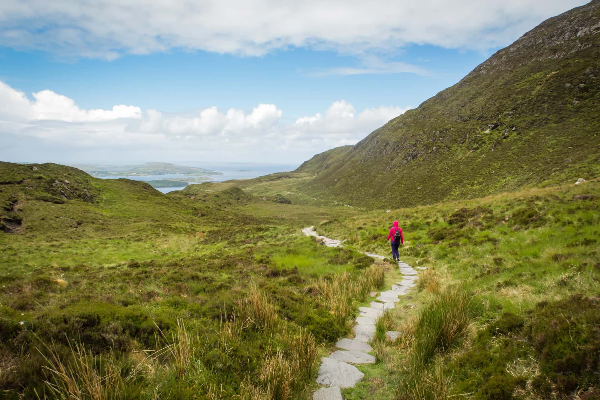 Person mit roter Jacke wandert durch Graslandschaft in Irland