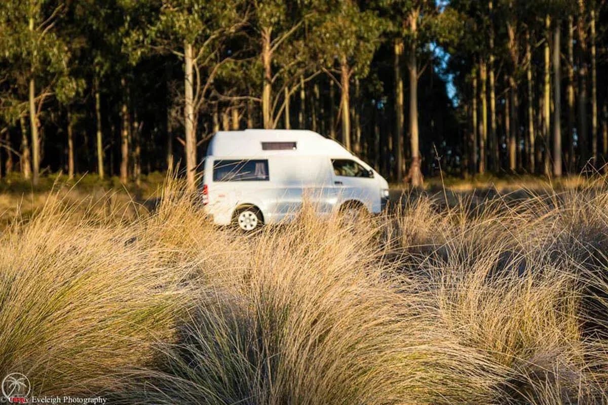 2 Bett Hitop von GoCheap Campervans hinter Gebüsch vor Wald in Australien