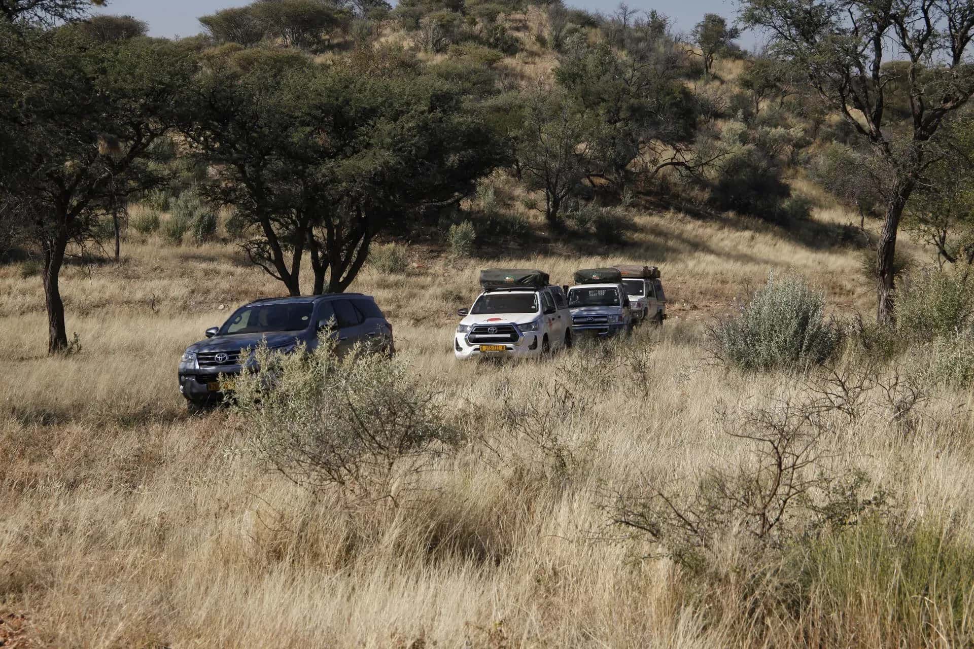 Fahrzeuge von AfriCar in Graslandschaft in Namibia