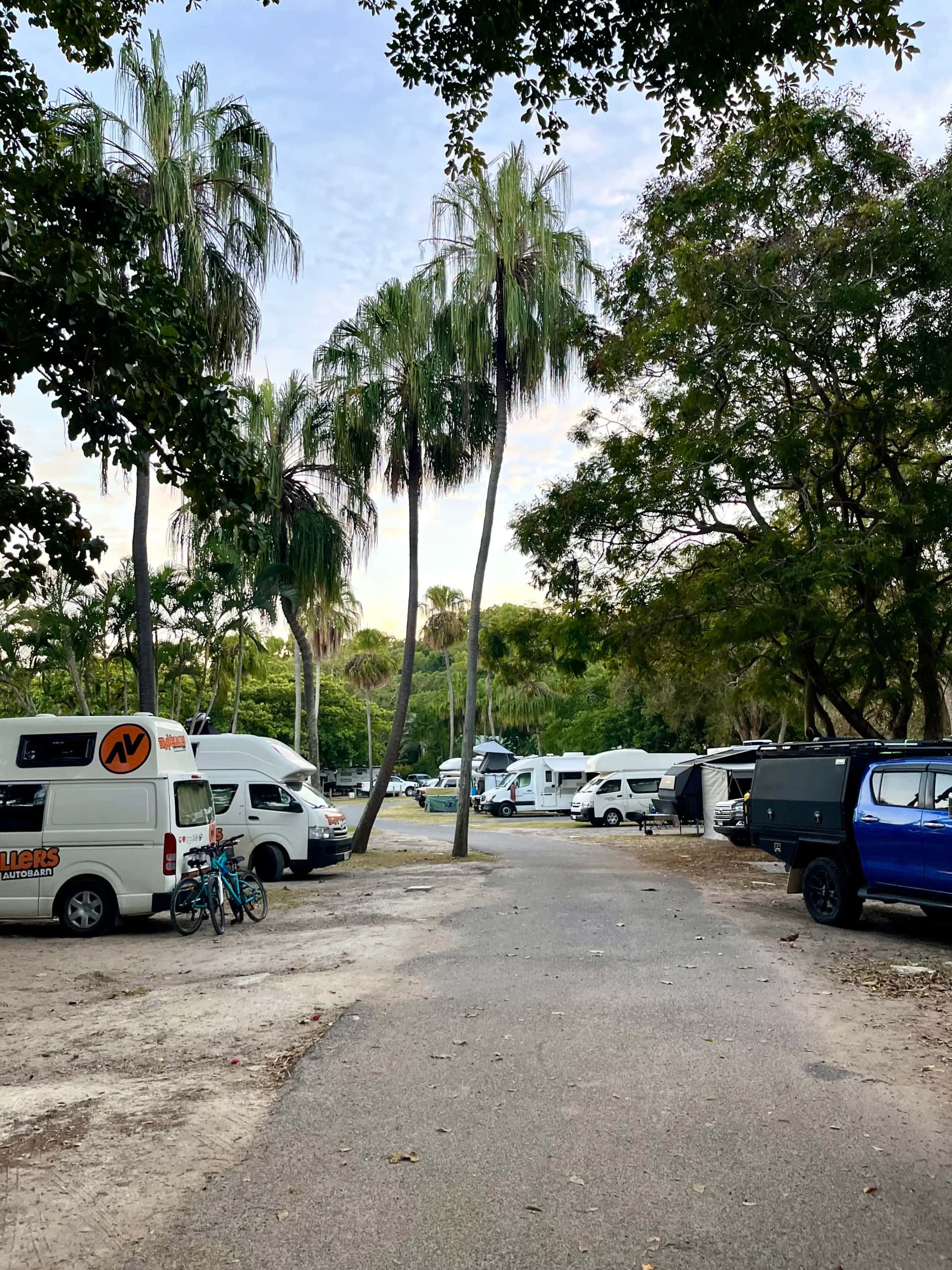 Camper auf einem Campground mit vielen Palmen