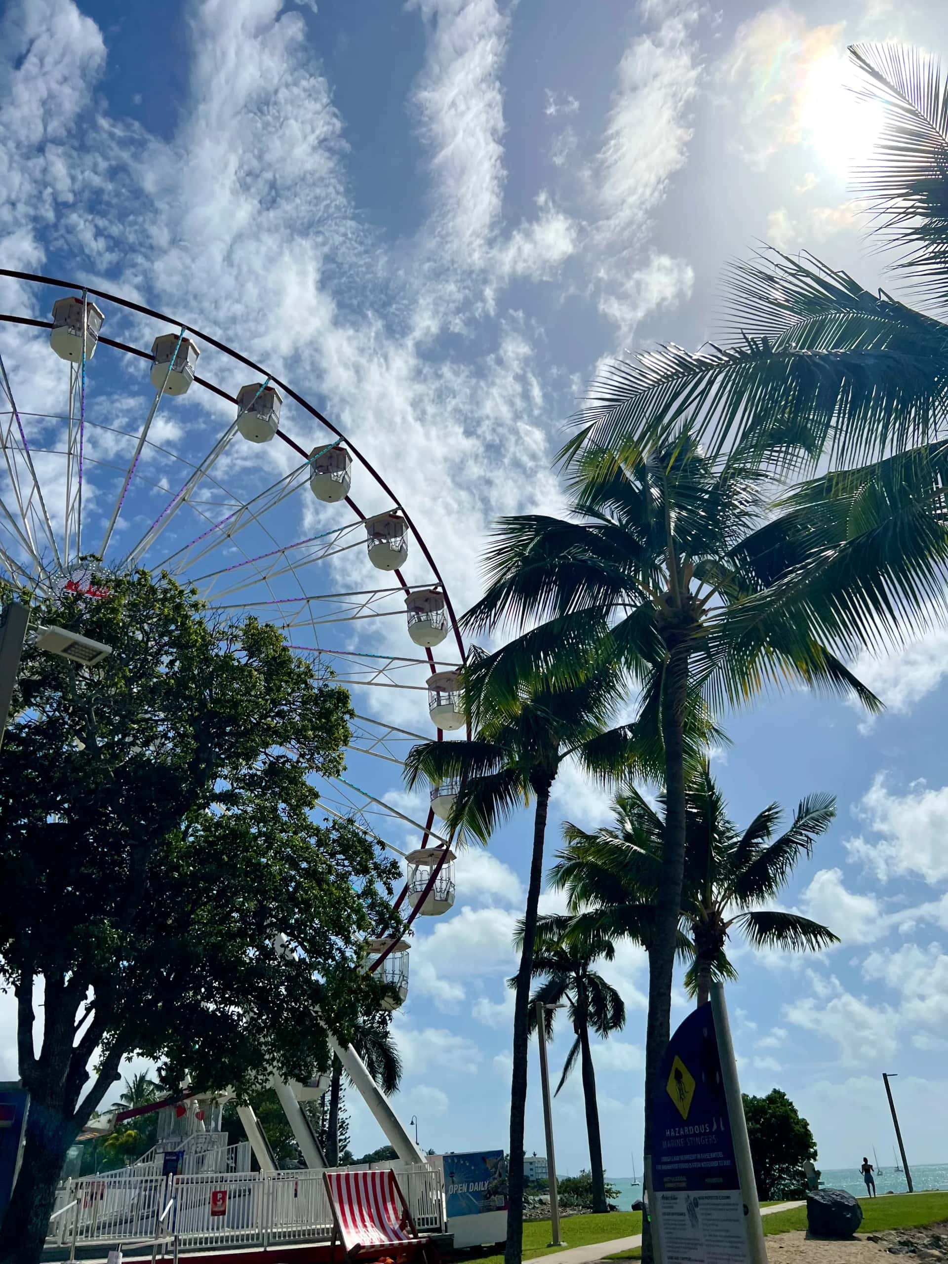 Riesenrad mit Palmen im Vordergrund in Airlie Beach