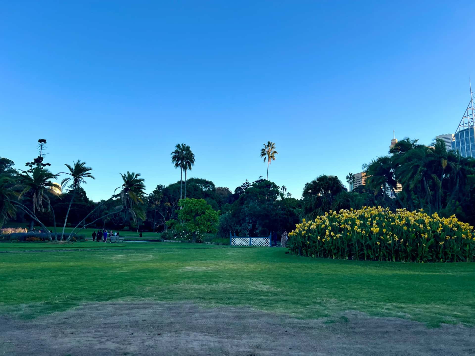 Royal Botanic Gardens Sydney