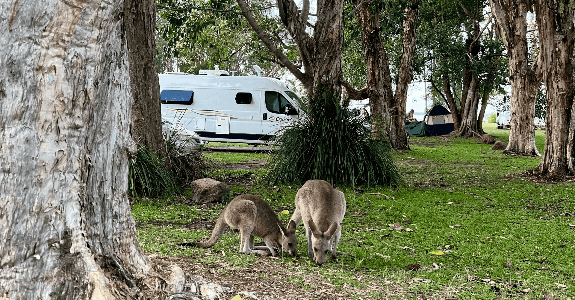 Campingplatz Habitat Noosa