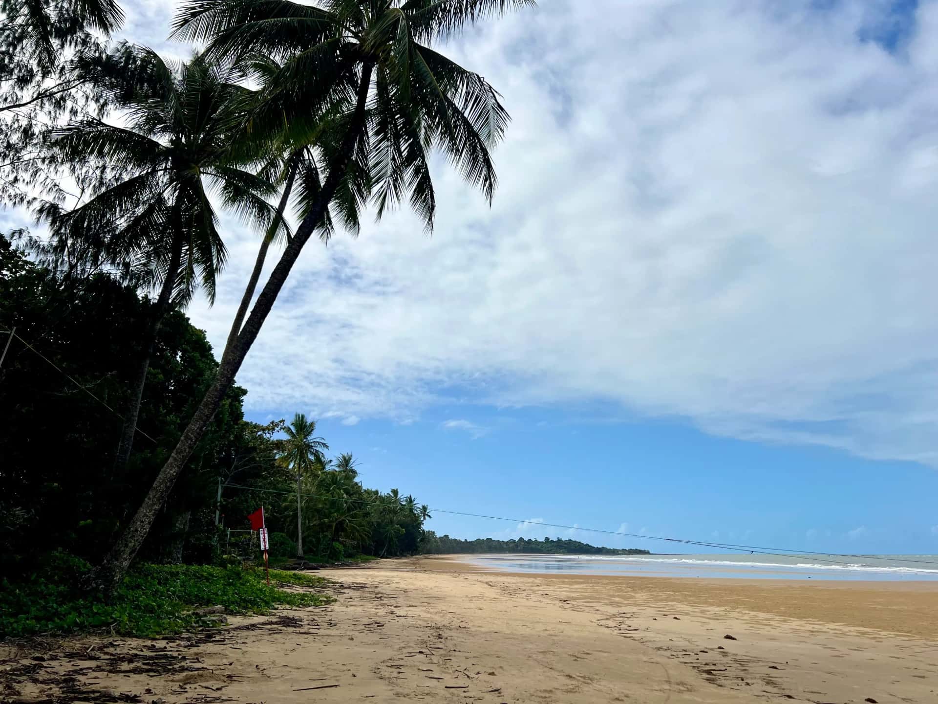 Palmen am Strand