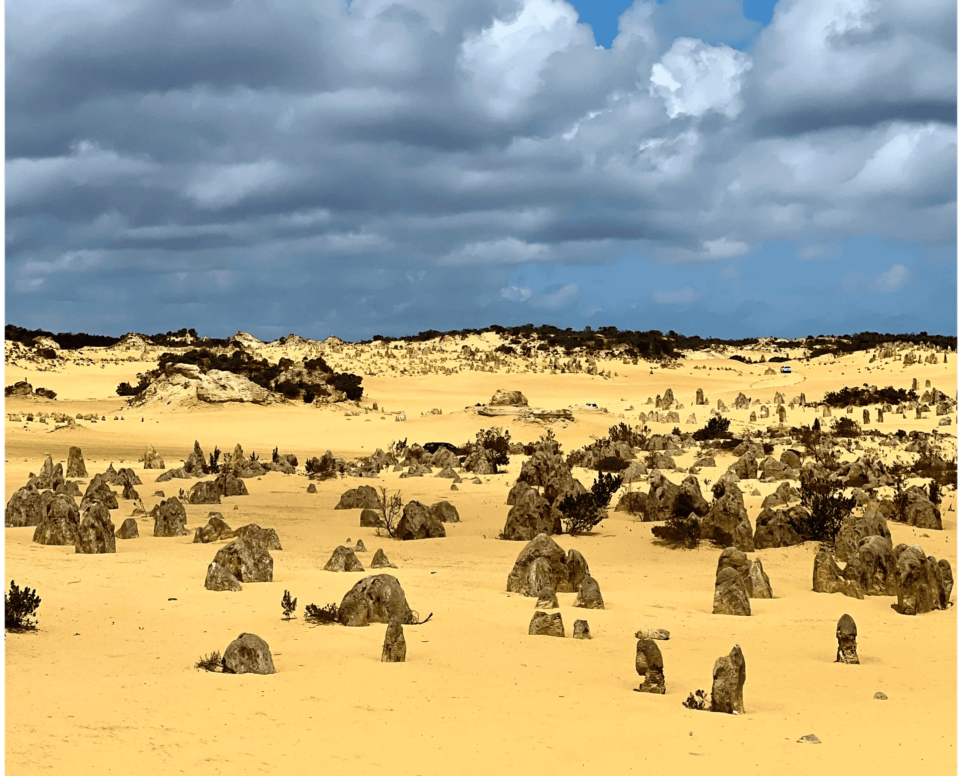 Die Pinnacles in Westaustralien in der Nähe von Perth