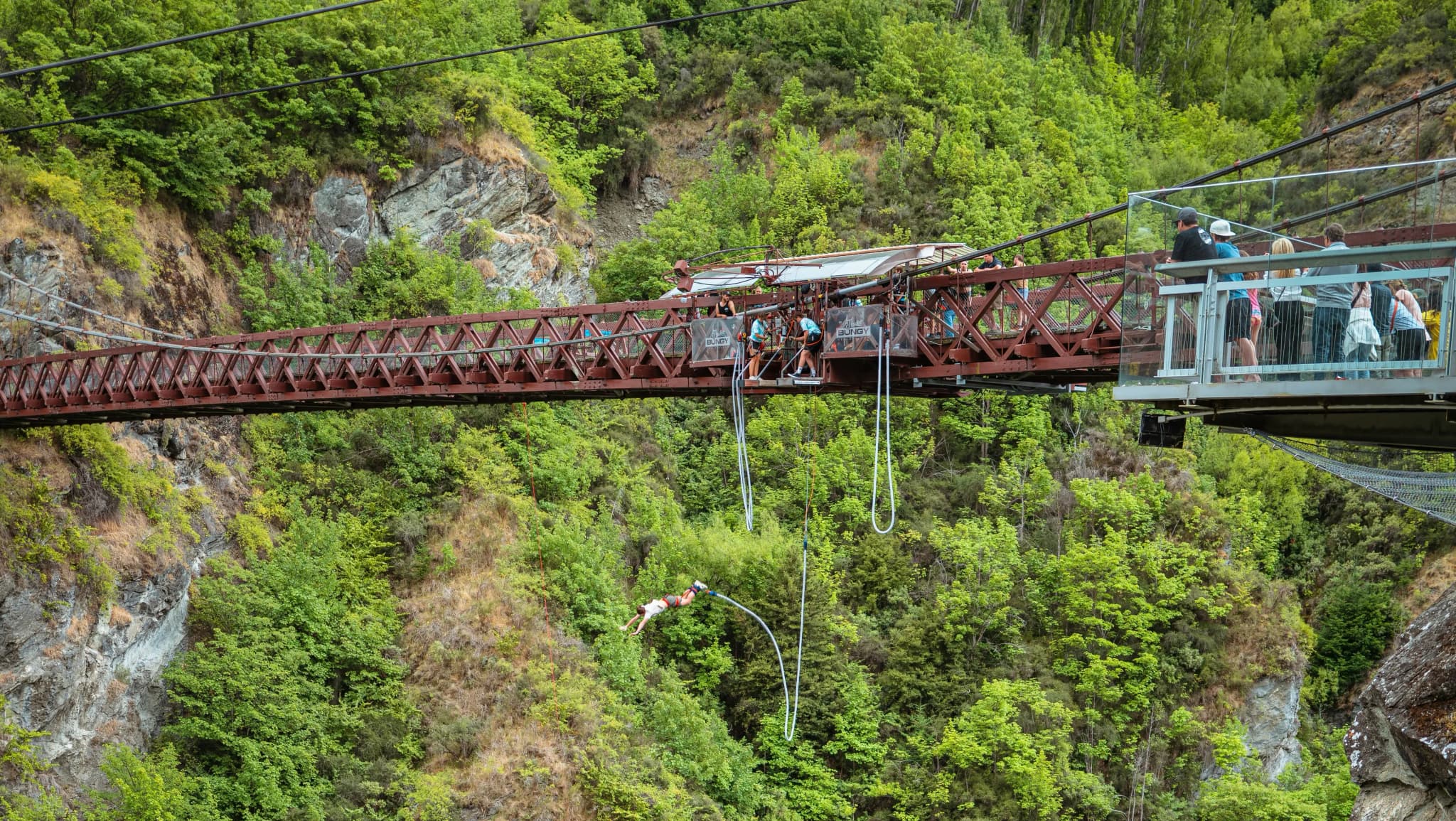 AJ Hackett Bungy Jumping