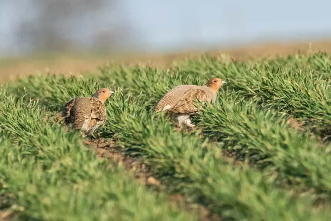Buchungen für den Naturschutz | Partnerschaft Nachhaltigkeit