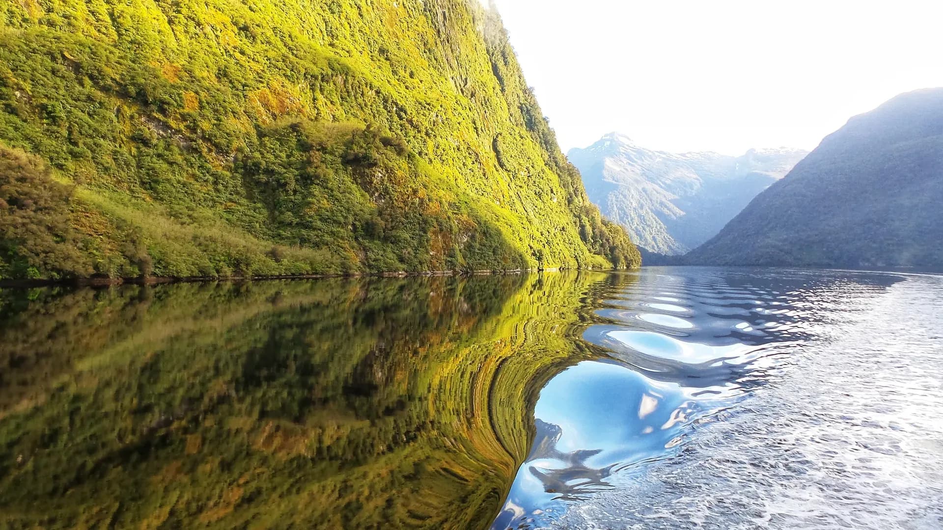 Doubtful Sound, Manapouri, Fiordland, Neuseeland