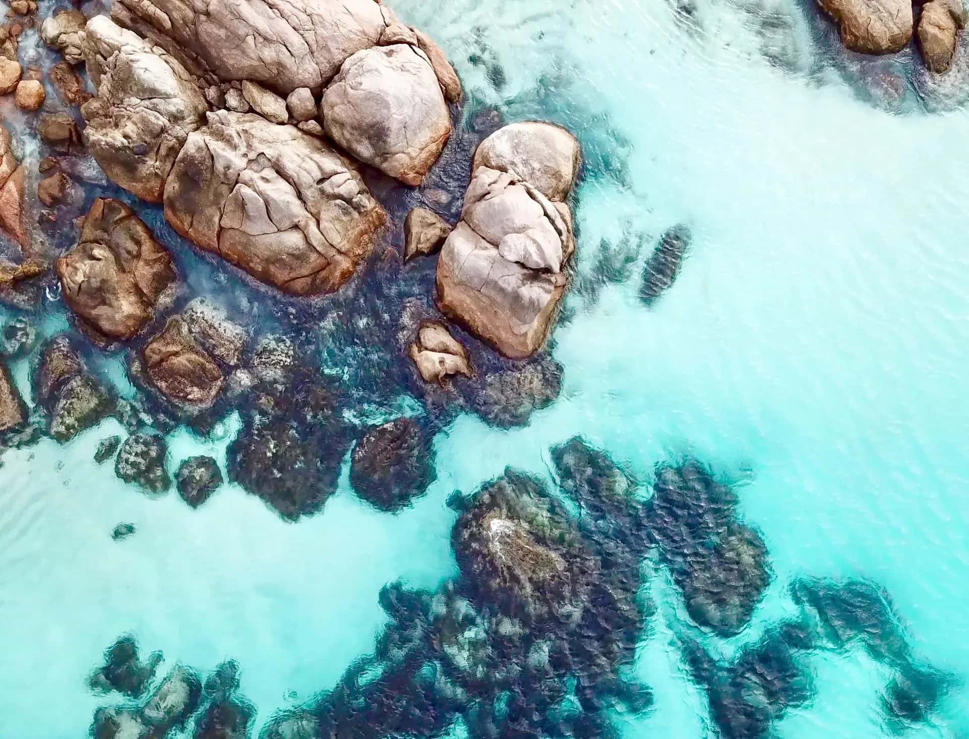 Two Peoples Bay, Two Peoples Nature Reserve, Albany Küste