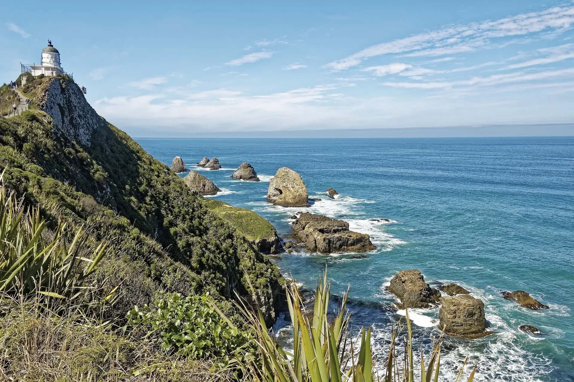 Nugget Point, Lighthouse, Catlins New Zealand, Campervan