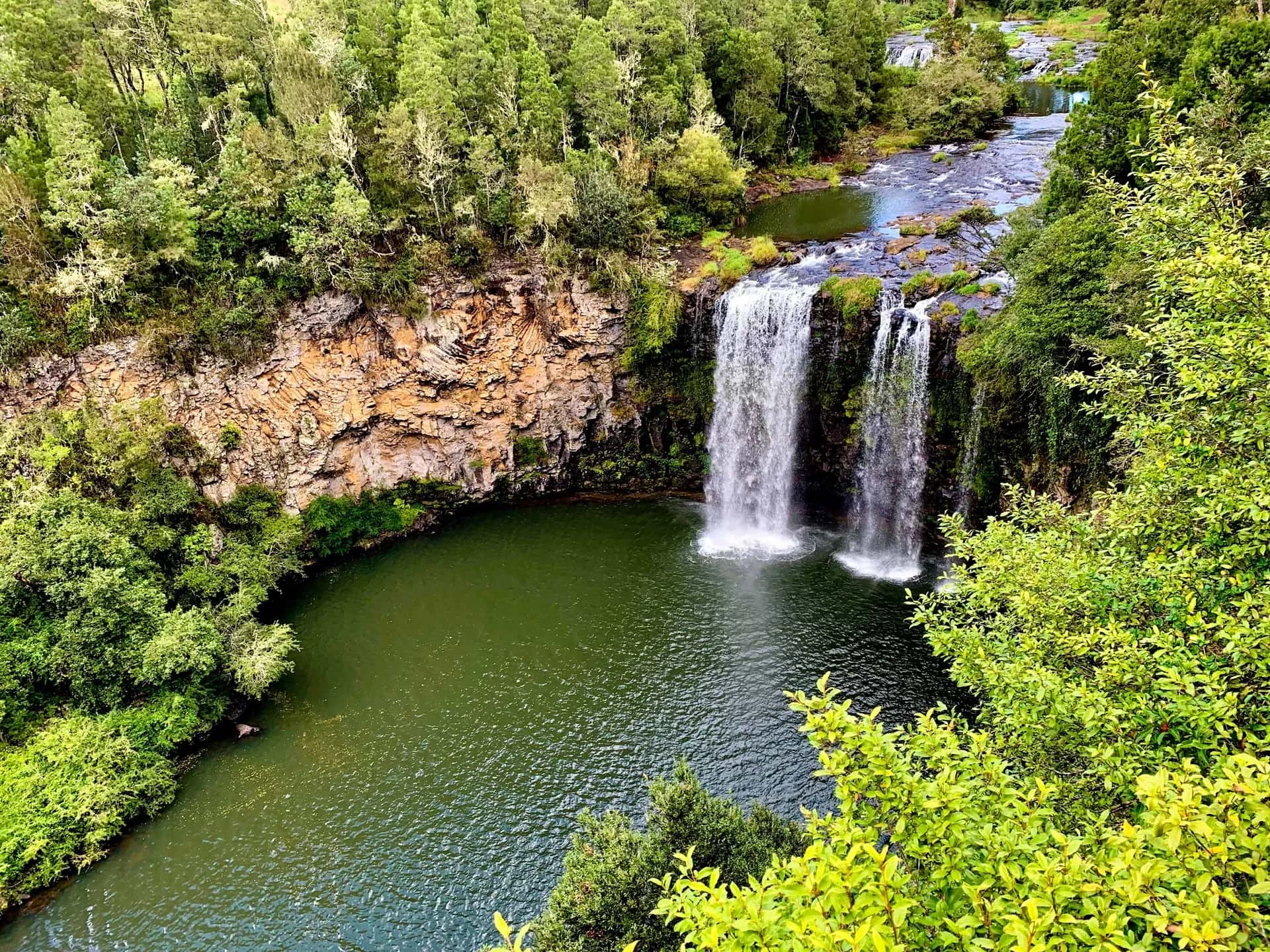 Der Dorrigo Nationalpark