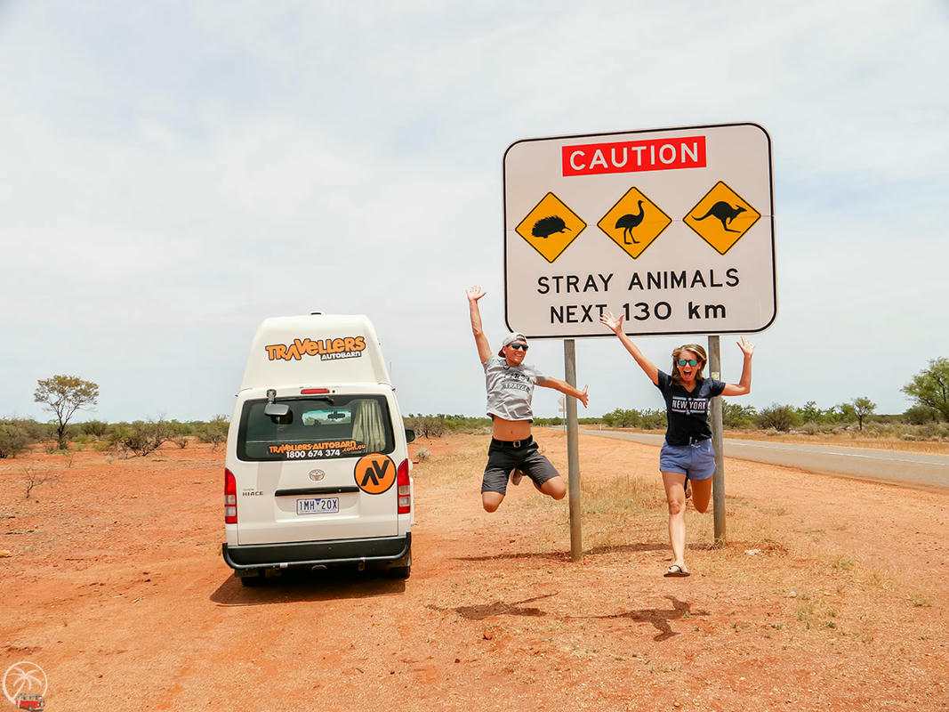 Travellers Autobarn, Kuga Hitop, Wildnis Australien