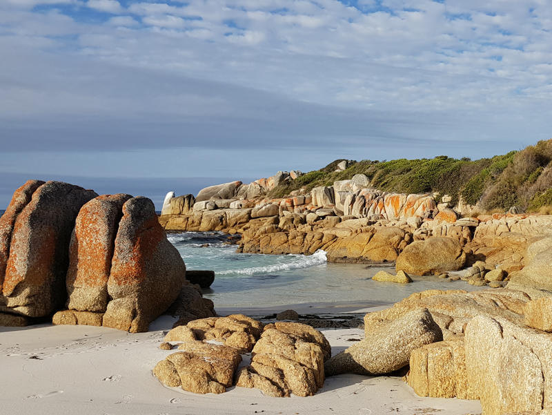 Steinige Bucht mit runden Felsen in Tasmanien