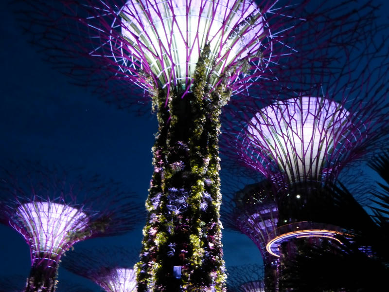 Beeindruckende Nachtaufnahme von Singapur Gardens by the Bay mit Beleuchtung