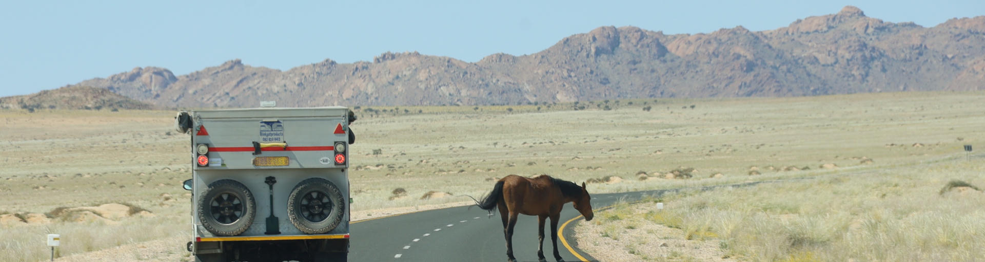 Group VKK von Asco Car Hire neben Pferd auf Straße in Namibia