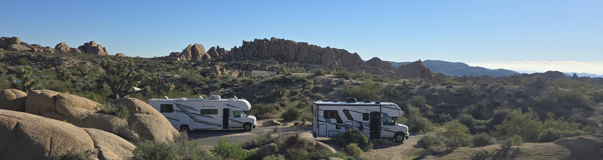 2 Wohnmobile im Joshua Tree Nationalpark. 