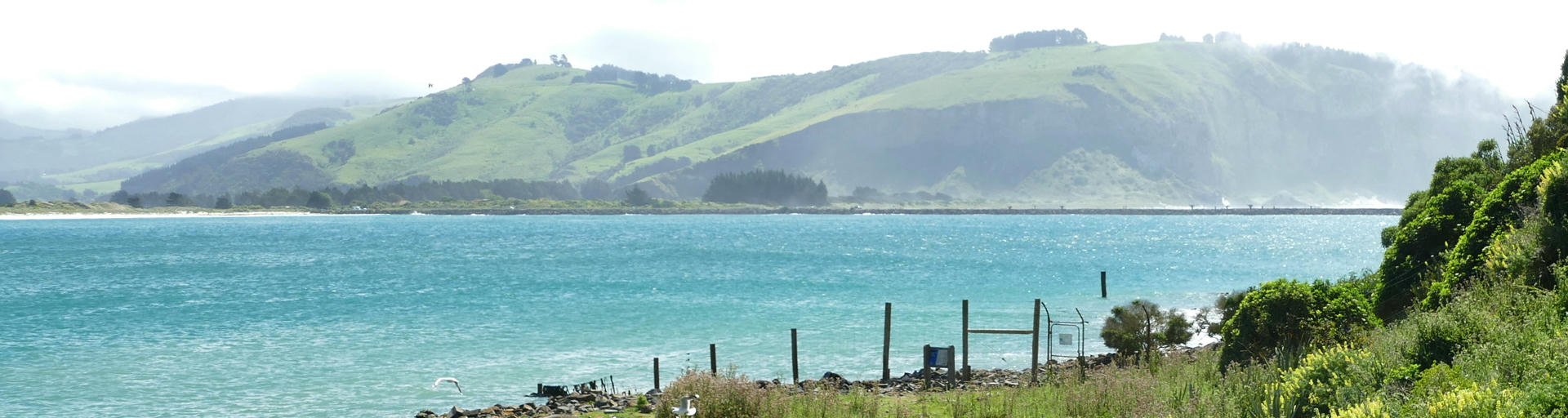 Otago Peninsula, Dunedin, Halbinsel, Rentner in Neuseeland
