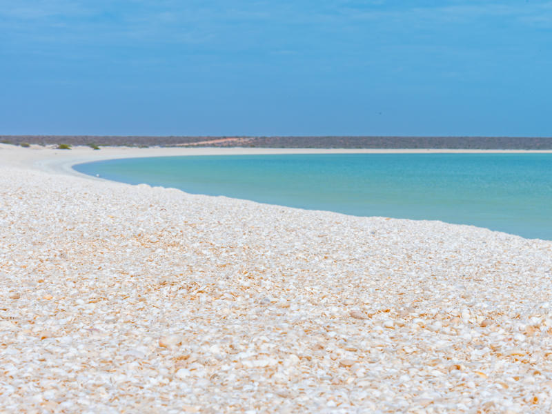 Shell Beach in Westaustralien Bucht