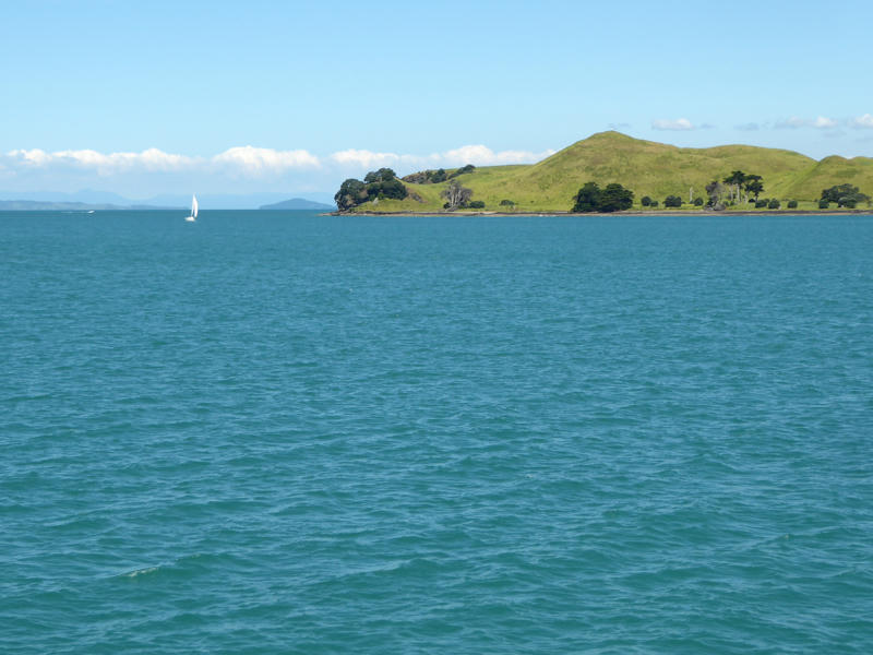 Typische grüne Hügel Neuseeland vom Boot aus