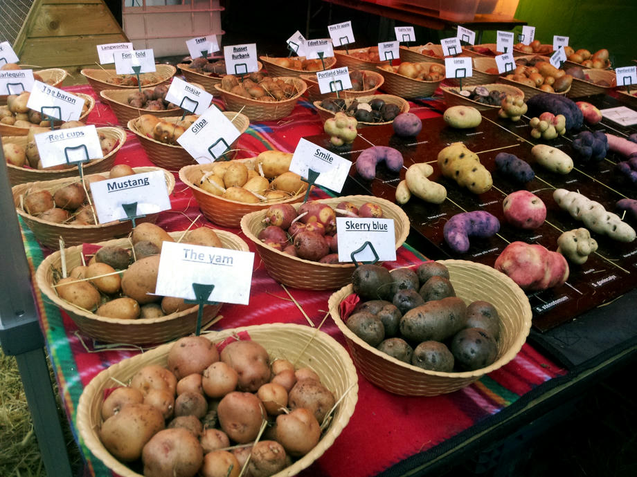 Kartoffeln Irland, Kartoffeln Markt, Irische Küche