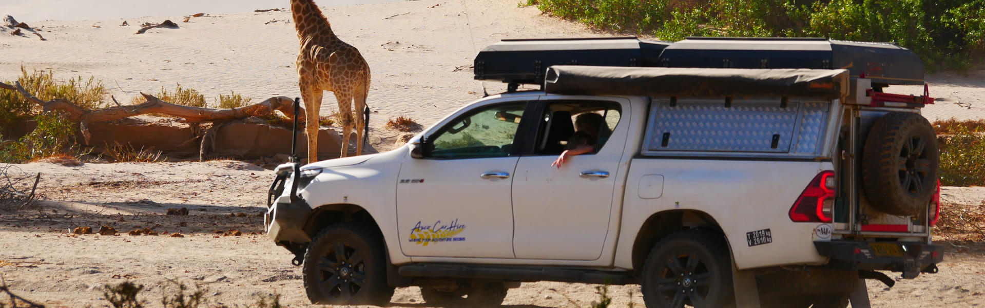 Premium T+ Hilux Safari DC 2.8TD mit Markise von Asco Car Hire neben Giraffe in Namibia
