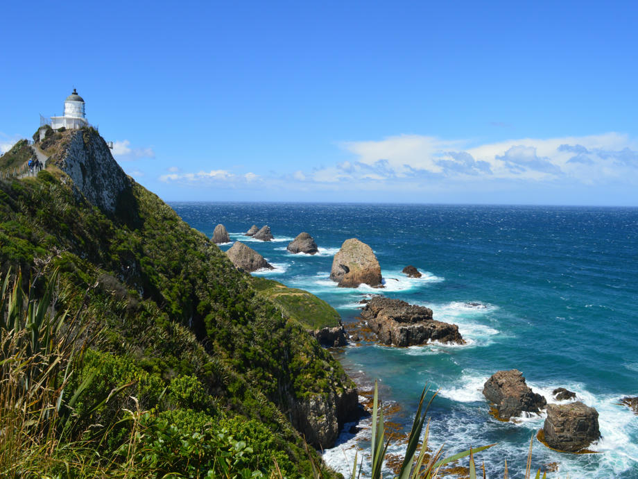 Nugget Point Neuseeland, Neuseeland, Nordinsel Neuseeland