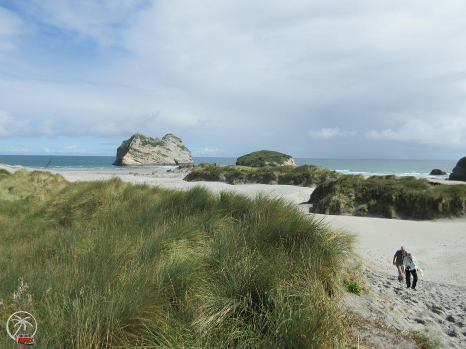 Küste, Neuseelandküste, New Zealand Coast, Strand Neuseeland