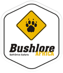 Bushlore Campers mieten, 4WD mieten Südafrika, 4WD mieten Namibia, Camper mieten Afrika, Bushlore Campers Logo