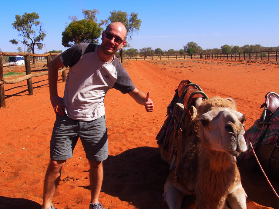 Till-Alice Springs-Kamel-CamperOase-Tiere-Australien
