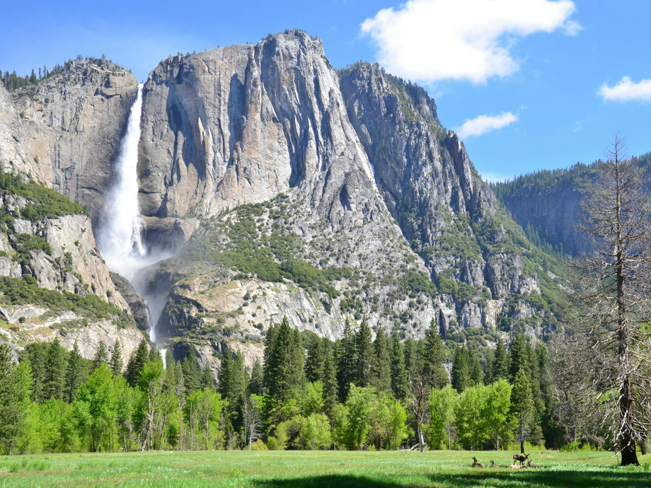 Yosemite Nationalpark, USA Wohnmobil mieten, Kalifornien bereisen